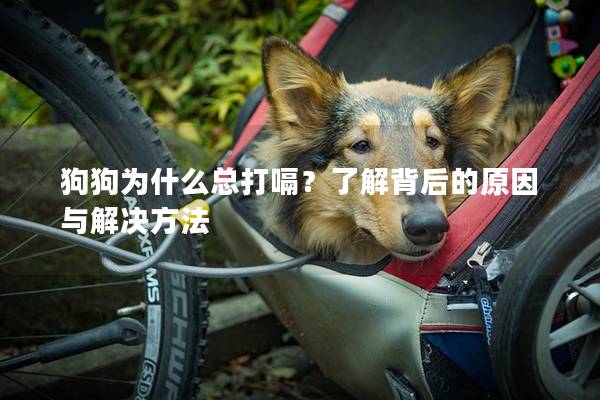 狗狗为什么总打嗝？了解背后的原因与解决方法