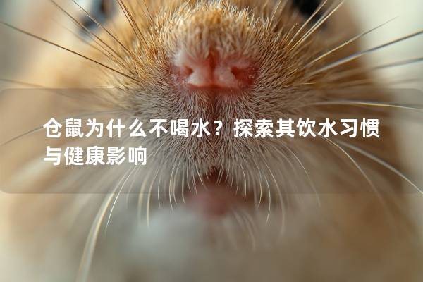 仓鼠为什么不喝水?探索其饮水习惯与健康影响 仓鼠为什么不喝水?探索其饮水习惯与健康影响