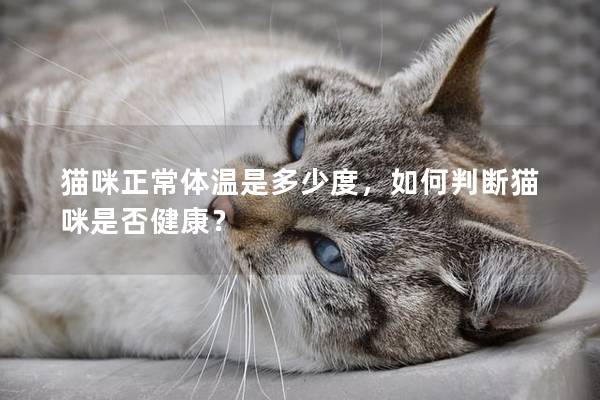 猫咪正常体温是多少度，如何判断猫咪是否健康？