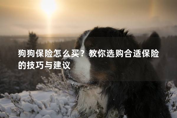 狗狗保险怎么买?教你选购合适保险的技巧与建议 狗狗保险怎么买?教你选购合适保险的技巧与建议