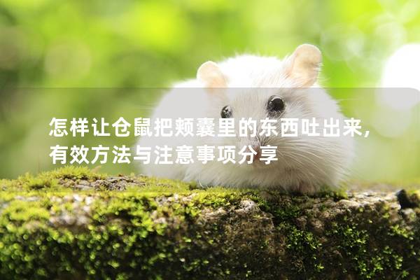 怎样让仓鼠把颊囊里的东西吐出来,有效方法与注意事项分享