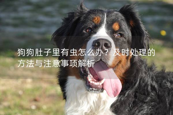 狗狗肚子里有虫怎么办？及时处理的方法与注意事项解析
