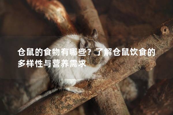 仓鼠的食物有哪些？了解仓鼠饮食的多样性与营养需求
