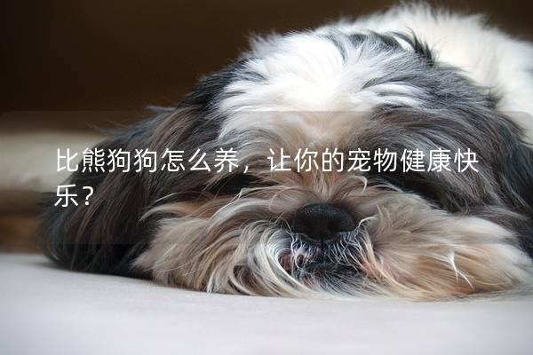 比熊狗狗怎么养,让你的宠物健康快乐? 比熊狗狗怎么养,让你的宠物健康快乐?
