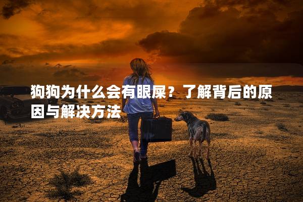 狗狗为什么会有眼屎？了解背后的原因与解决方法