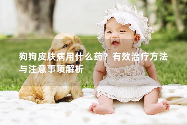 狗狗皮肤病用什么药?有效治疗方法与注意事项解析 狗狗皮肤病用什么药?有效治疗方法与注意事项解析