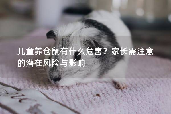 儿童养仓鼠有什么危害？家长需注意的潜在风险与影响