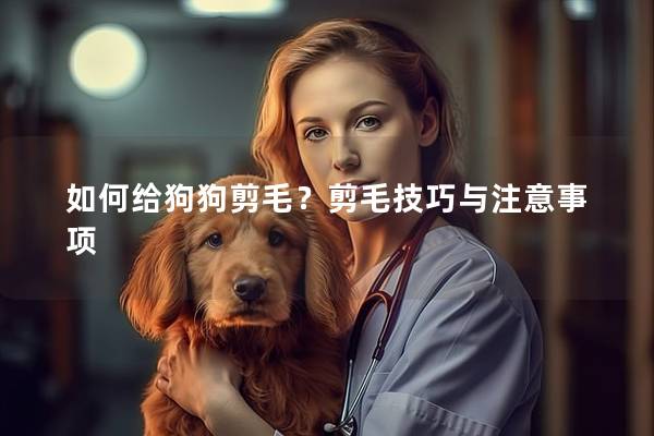 如何给狗狗剪毛？剪毛技巧与注意事项