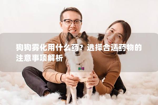 狗狗雾化用什么药？选择合适药物的注意事项解析