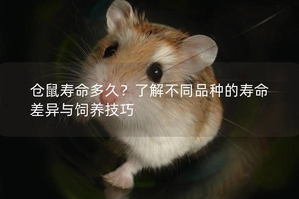 仓鼠寿命多久？了解不同品种的寿命差异与饲养技巧