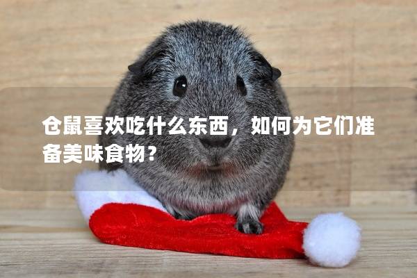 仓鼠喜欢吃什么东西，如何为它们准备美味食物？