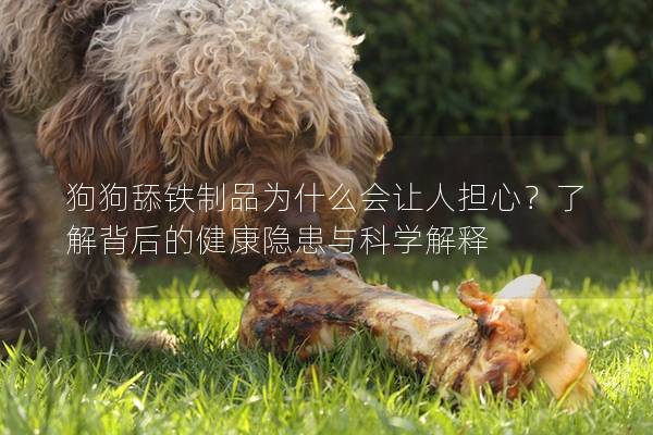 狗狗舔铁制品为什么会让人担心？了解背后的健康隐患与科学解释