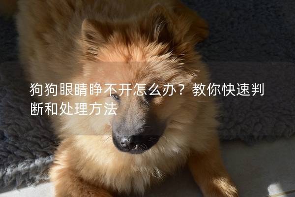 狗狗眼睛睁不开怎么办？教你快速判断和处理方法