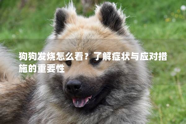 狗狗发烧怎么看？了解症状与应对措施的重要性