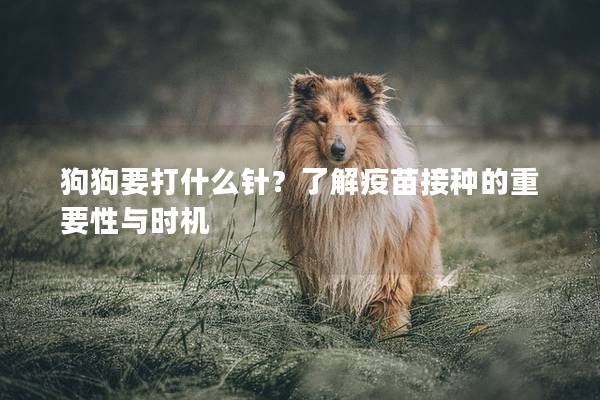 狗狗要打什么针?了解疫苗接种的重要性与时机 狗狗要打什么针?了解疫苗接种的重要性与时机
