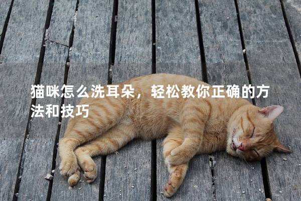 猫咪怎么洗耳朵，轻松教你正确的方法和技巧