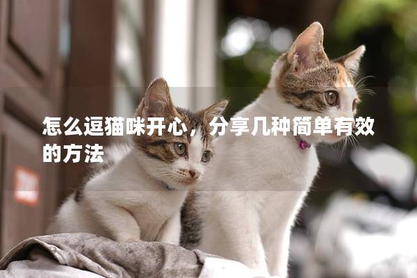怎么逗猫咪开心，分享几种简单有效的方法