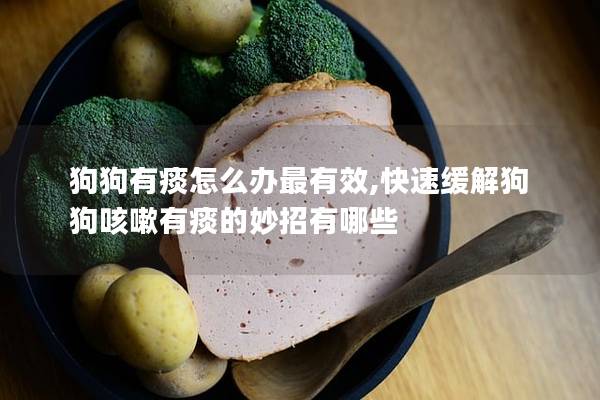 狗狗有痰怎么办最有效,快速缓解狗狗咳嗽有痰的妙招有哪些 狗狗有痰怎么办最有效,快速缓解狗狗咳嗽有痰的妙招有哪些