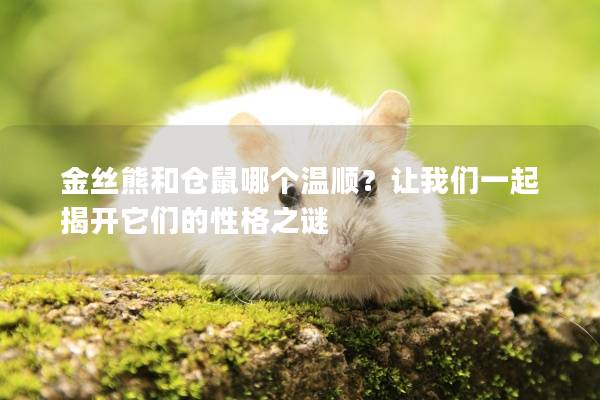 金丝熊和仓鼠哪个温顺？让我们一起揭开它们的性格之谜