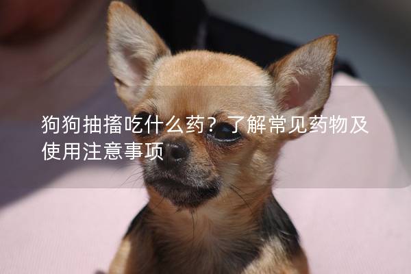 狗狗抽搐吃什么药？了解常见药物及使用注意事项