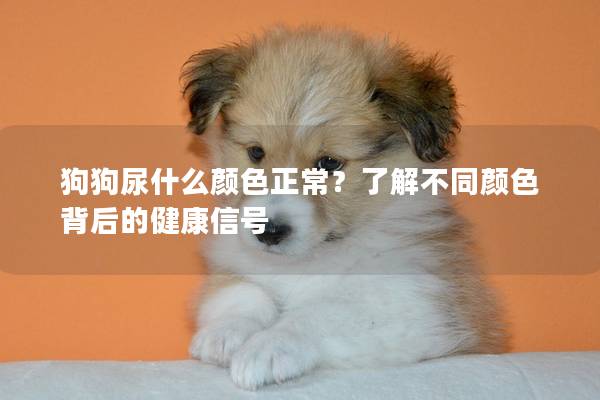 狗狗尿什么颜色正常？了解不同颜色背后的健康信号