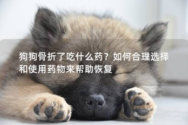 狗狗骨折了吃什么药？如何合理选择和使用药物来帮助恢复