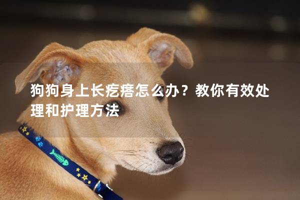 狗狗身上长疙瘩怎么办？教你有效处理和护理方法