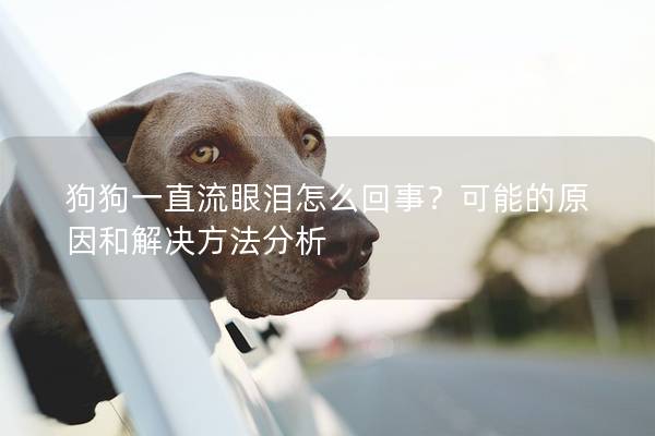 狗狗一直流眼泪怎么回事?可能的原因和解决方法分析 狗狗一直流眼泪怎么回事?可能的原因和解决方法分析