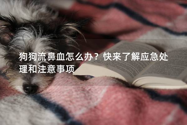 狗狗流鼻血怎么办？快来了解应急处理和注意事项