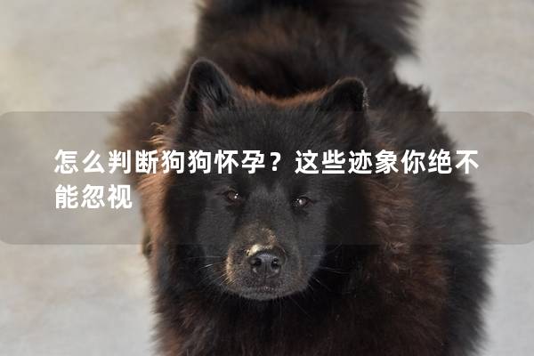 怎么判断狗狗怀孕？这些迹象你绝不能忽视