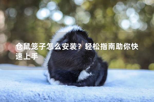 仓鼠笼子怎么安装？轻松指南助你快速上手