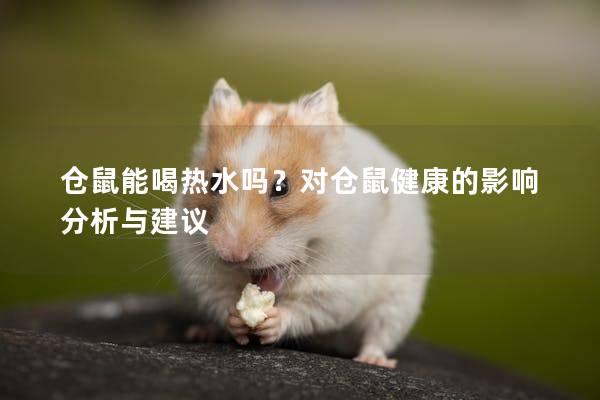 仓鼠能喝热水吗？对仓鼠健康的影响分析与建议