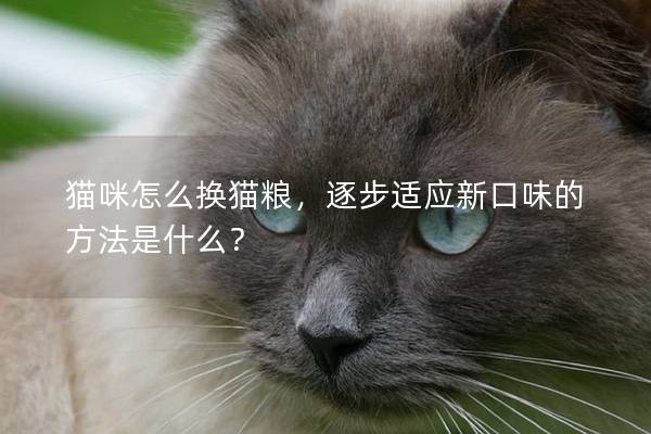 猫咪怎么换猫粮，逐步适应新口味的方法是什么？