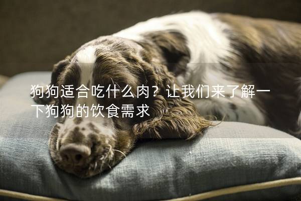 狗狗适合吃什么肉？让我们来了解一下狗狗的饮食需求