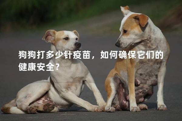 狗狗打多少针疫苗,如何确保它们的健康安全? 狗狗打多少针疫苗,如何确保它们的健康安全?