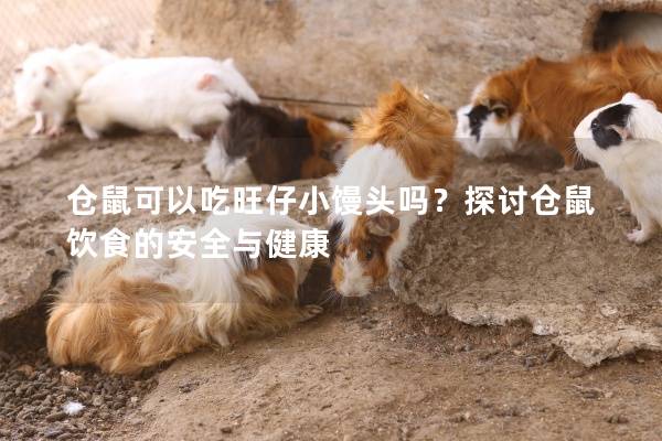 仓鼠可以吃旺仔小馒头吗？探讨仓鼠饮食的安全与健康