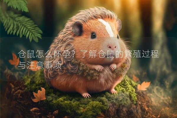 仓鼠怎么怀孕？了解仓鼠的繁殖过程与注意事项