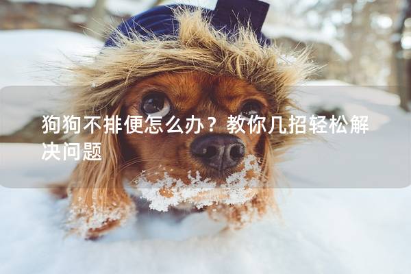 狗狗不排便怎么办？教你几招轻松解决问题