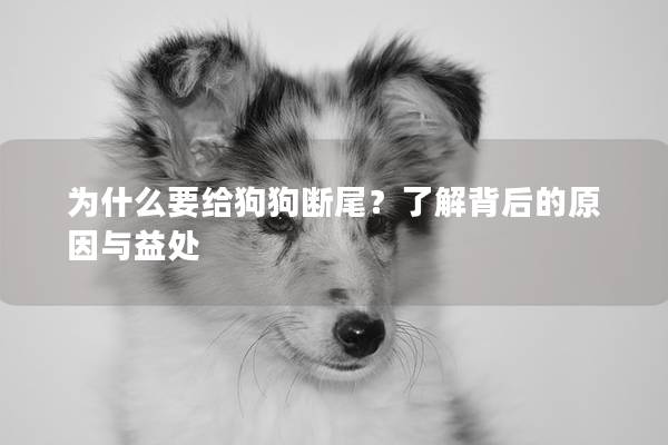 为什么要给狗狗断尾？了解背后的原因与益处