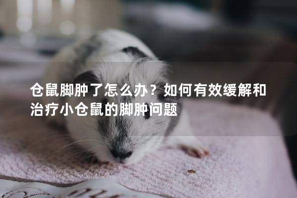 仓鼠脚肿了怎么办？如何有效缓解和治疗小仓鼠的脚肿问题