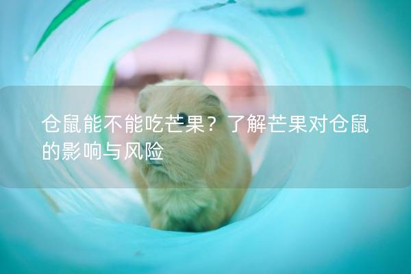 仓鼠能不能吃芒果？了解芒果对仓鼠的影响与风险