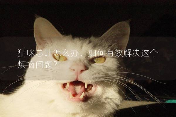 猫咪总吐怎么办,如何有效解决这个烦恼问题? 猫咪总吐怎么办,如何有效解决这个烦恼问题?