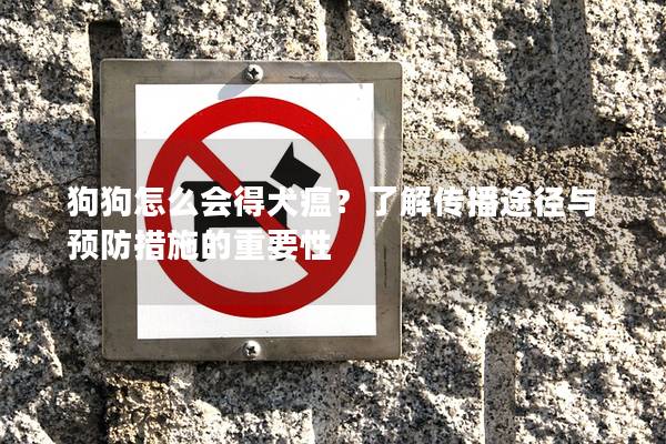 狗狗怎么会得犬瘟?了解传播途径与预防措施的重要性 狗狗怎么会得犬瘟?了解传播途径与预防措施的重要性