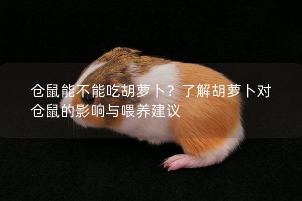 仓鼠能不能吃胡萝卜？了解胡萝卜对仓鼠的影响与喂养建议