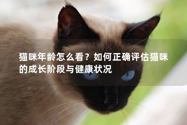 猫咪年龄怎么看？如何正确评估猫咪的成长阶段与健康状况