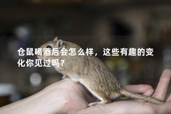 仓鼠喝酒后会怎么样，这些有趣的变化你见过吗？