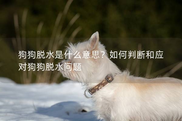 狗狗脱水是什么意思？如何判断和应对狗狗脱水问题