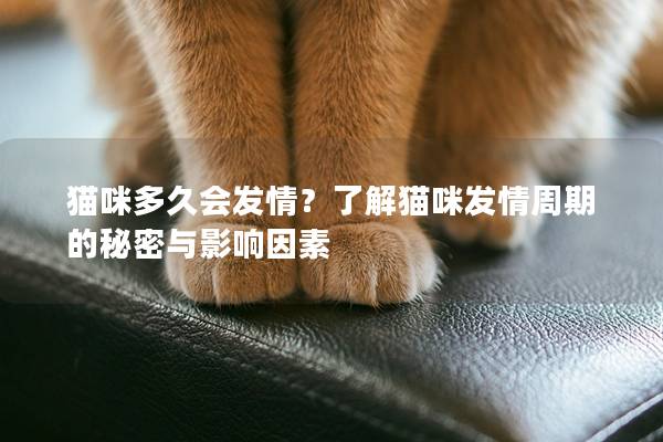 猫咪多久会发情？了解猫咪发情周期的秘密与影响因素