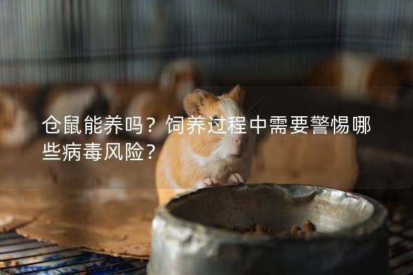 仓鼠能养吗？饲养过程中需要警惕哪些病毒风险？