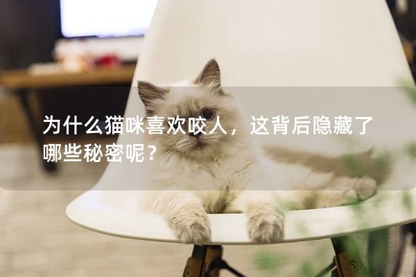 为什么猫咪喜欢咬人，这背后隐藏了哪些秘密呢？